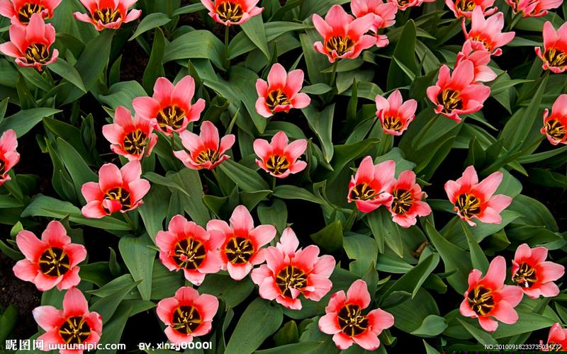 南京装修车间净化工程价格表(重庆净化车间装修工程)