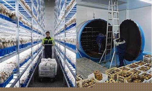 南京食用菌车间净化装修公司排名(南京食用菌车间净化装修公司排名前十)